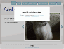 Tablet Screenshot of catsvillesnowshoes.com